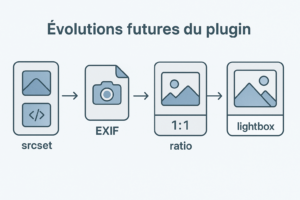 Évolutions futures du plugin