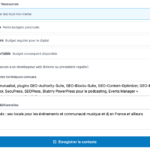 Interface montrant un formulaire avec champs type de site, budget, objectifs, contraintes, précédant une analyse IA personnalisée.